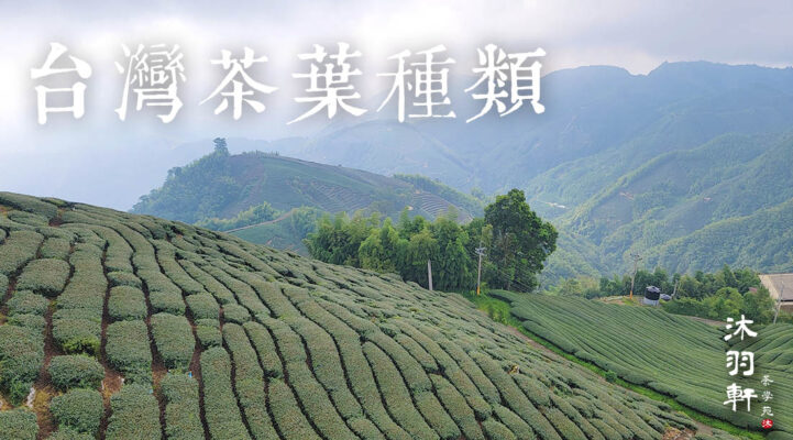 台灣茶葉種類