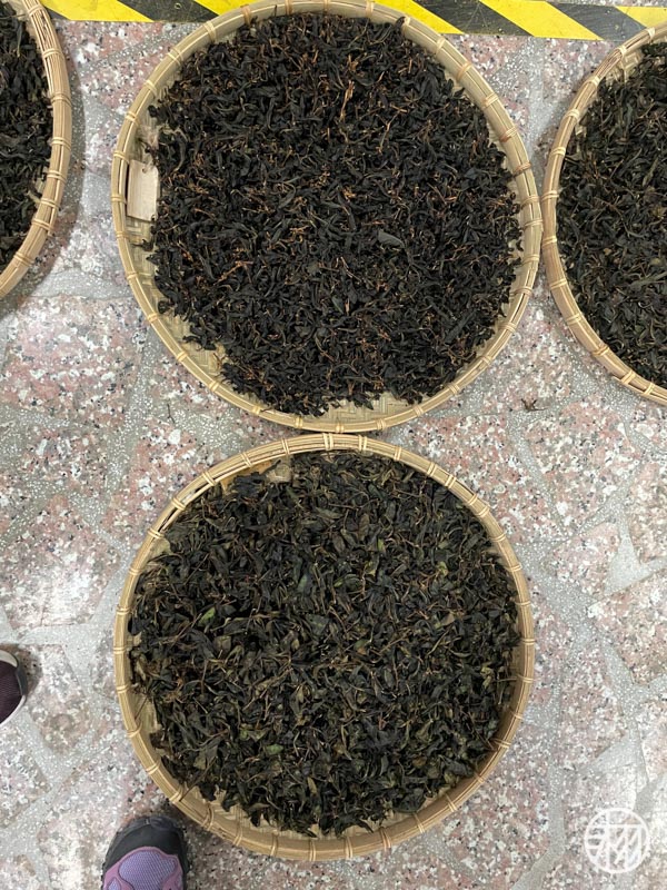 双霖茶廠做茶體驗